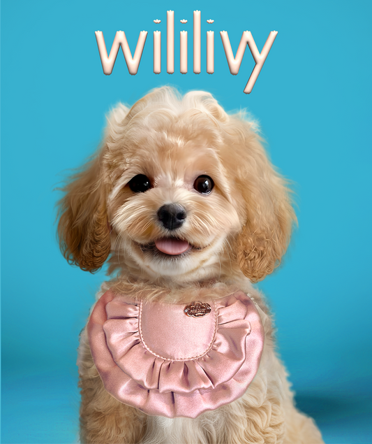 wililivy's 100% collar love pets